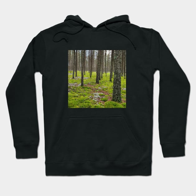 Mossy Forest Hoodie by Sunny Window Designs